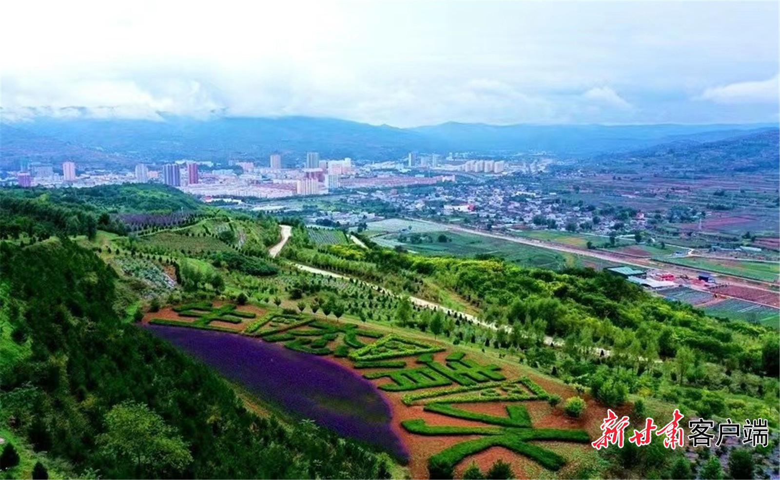绿染中国丨让“美”生态理念入“木”三分
