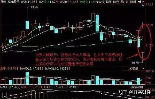 207只股短线走稳 站上五日均线