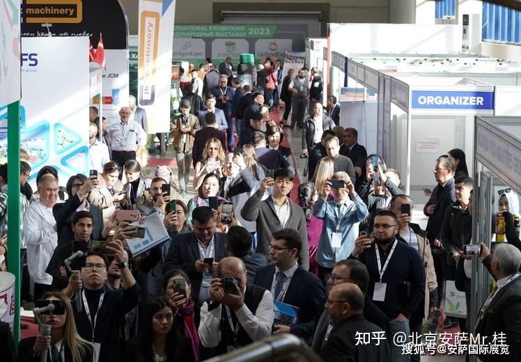 2024年上半年乌兹别克斯坦跨境汇款收入增加25%