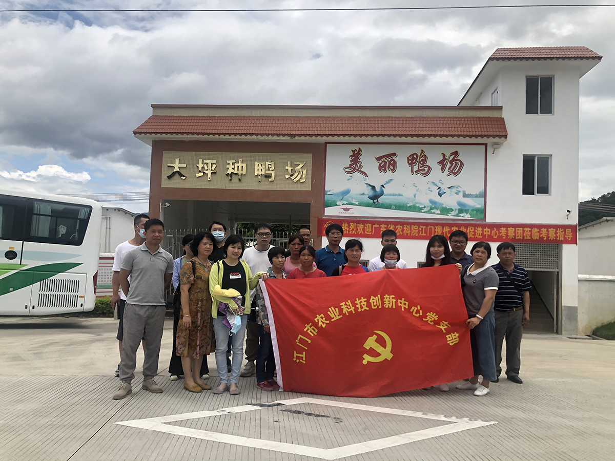 记者手记：秦岭脚下，“忙碌劲儿”里感受农业发展的活力