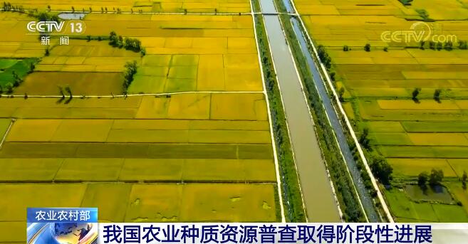 全国农业种质资源普查摸清“家底”