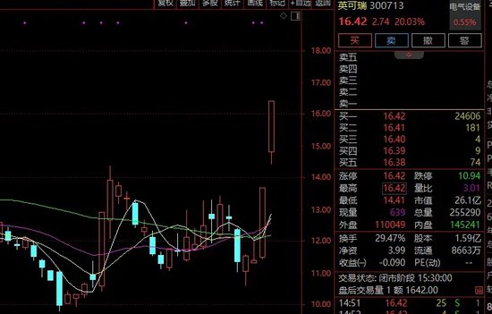 连续涨停、股价创新高！这一板块“牛股”频出