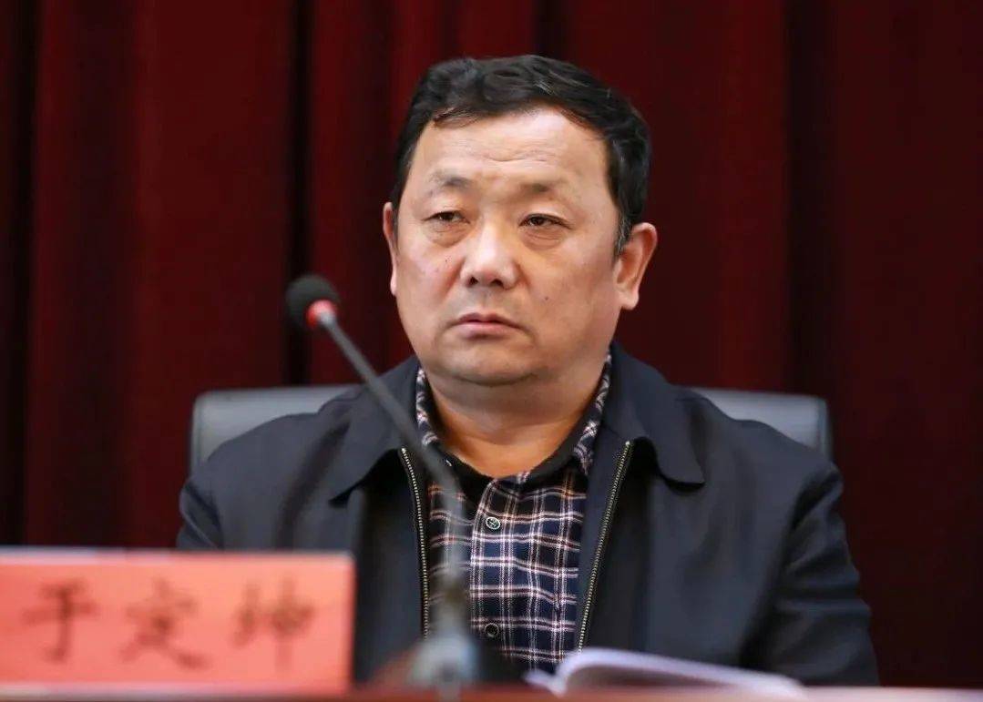 中国医药集团有限公司总会计师杨珊华接受审查调查