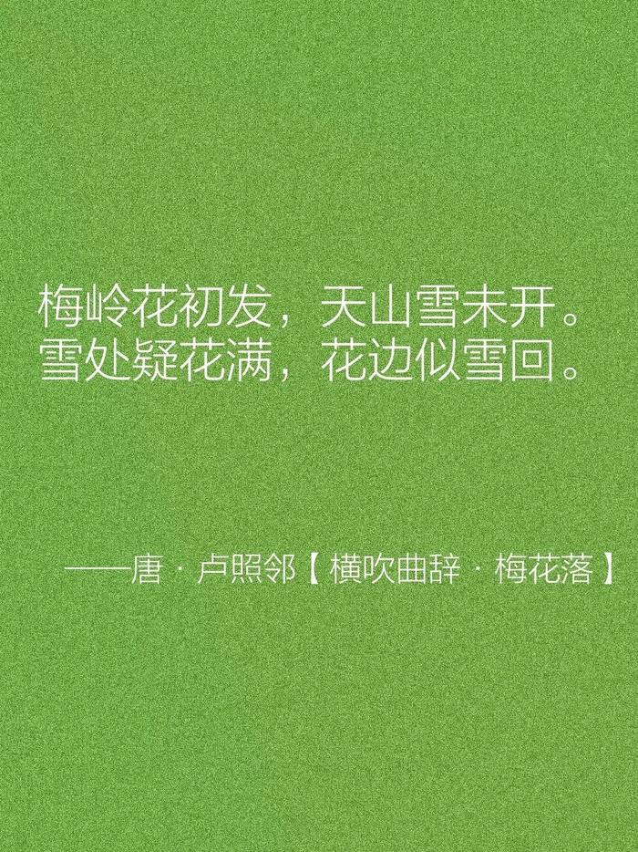 葡萄美酒夜光杯：深染“胡”风的唐代夜宴｜新知