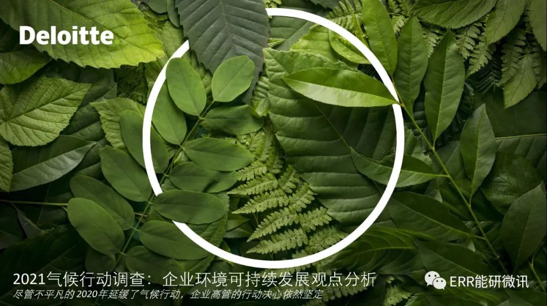 2025 香港气候论坛成功举办：共谋绿色发展与气候行动新路径