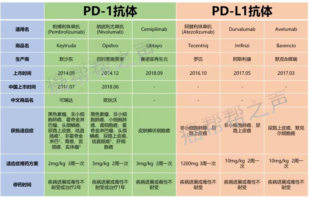 罗氏制药与默克达成战略合作，进一步拓展中国肺癌治疗版图