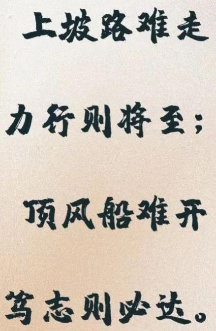 蒙牛2024年年报：“一体两翼”行稳致远 聚焦价值盈科后进