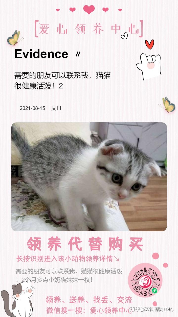 资本市场永远会给你好东西 | 猫猫看市