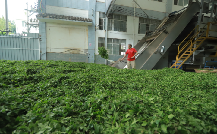 顺丰与粤港澳大湾区绿色农产品生产供应基地签署战略合作