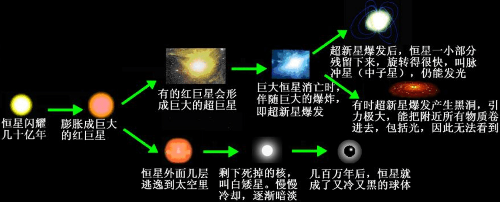 山东为何成为跨国公司布局中国的“引力场”？