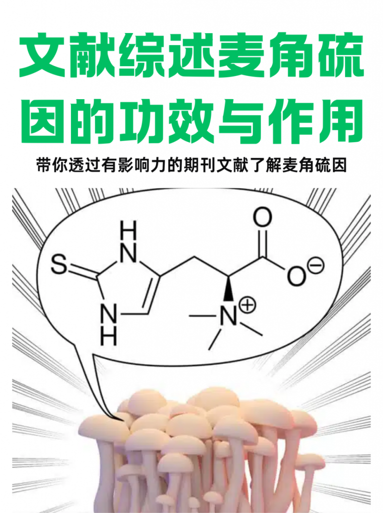 麦角硫因概念股受关注 多家公司回应