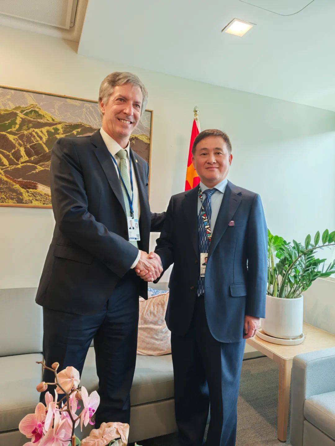 国家能源局主要负责人会见新加坡能源市场管理局局长