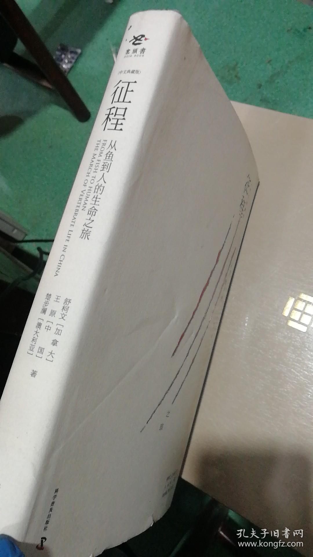 从“身后事”到“生命文化”――福寿园构建可持续社会价值